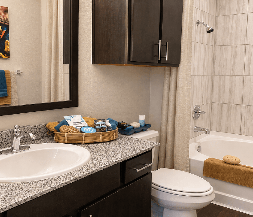 Modern bathroom vanity with mirror